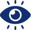 Vision Icon